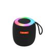 Integrated K12 Wireless Microphone & Bluetooth Speaker for Children's KTV and Home Singing