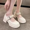 Internet celebrity versatile Japanese college style platform small leather shoes women 2025 new summer retro French Mary Jane shoes