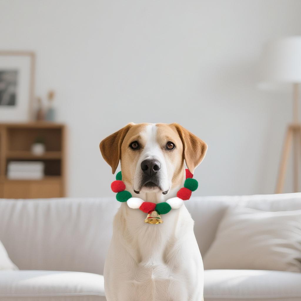Cat Collar With Colorful Ball, Macaron Dog Elastic Collar, Internet Famous Plush Ball, Cute Pet Supplies