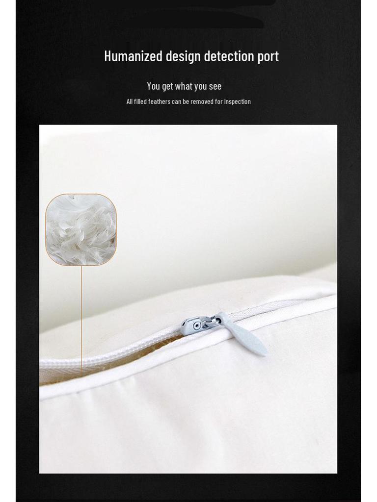 White Goose Feather Pillow Core 45x45cm: Hotel Sofa Cushion for Lumbar Support