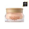 Skinfood Salmon Dark Circle Concealer 3 Colors