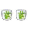 ZWILLING "Sorrento Double-Wall Tea Glass 240ml (Set of 2)" Tumbler, Insulated, Double-Walled, Keeps Tea Cold or Hot, Microwave-Safe, for Tea and Infus