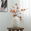 AS60-Artistic Face Lip Potted Plants White Pottery Vase Dry Flower Insert Artist Residence Decorative Ornaments