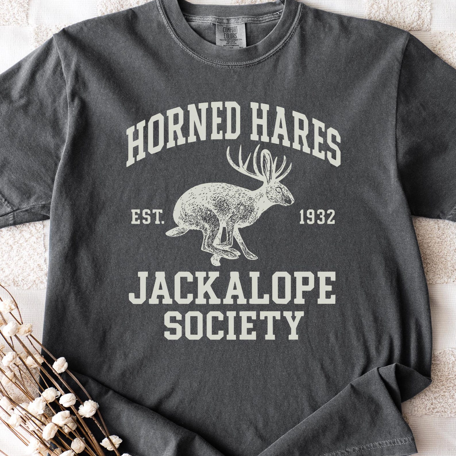 Jackalope Shirt: Comfort Colors Cryptid Collegiate Tee XL