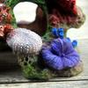Aquarium Decor Reef Coral Resin Cave for Freshwater Saltwater Fish for Tank
