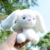 Animal Doll Plush Toy Birthday Gift for Girls Desk Companion Doll Study Partner Doll