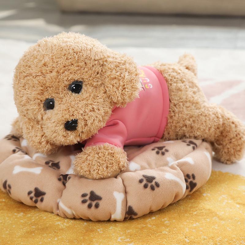Cute Teddy Dog Plush: Soothing Small Dog Doll for Sleeping & Hugging