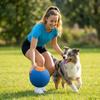 Durable Dog Toy Soft Plush Ball Interactive Chew Toy for Pets Outdoor Indoor Play Suitable for Medium Large Dogs
