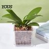Orchid Planter for Phalaenopsis Clear with Saucer, Square Plant Pot Hydrophobic Succulents Drainage Holes, Transparent Flowerpot Phalaenopsis,