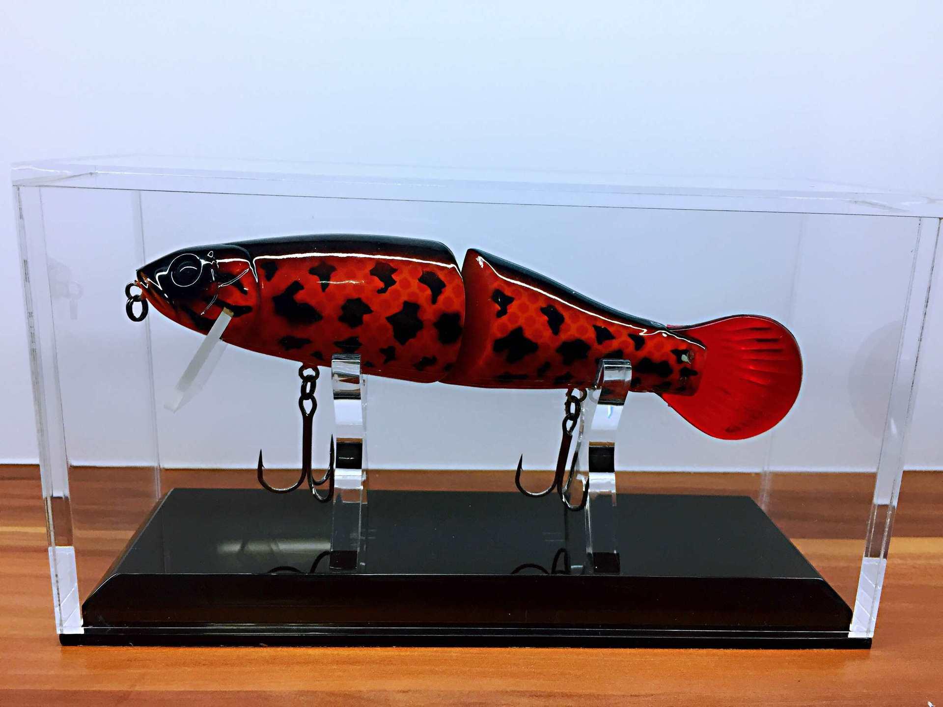 

Lure Display Rack: Transparent Shelf for Artificial Bait and Fishing Lures Custom Size