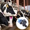 Farm Animal Temperature Regulator Nozzle With 180° 360 Humidifying PP Construction For Barns And Shed