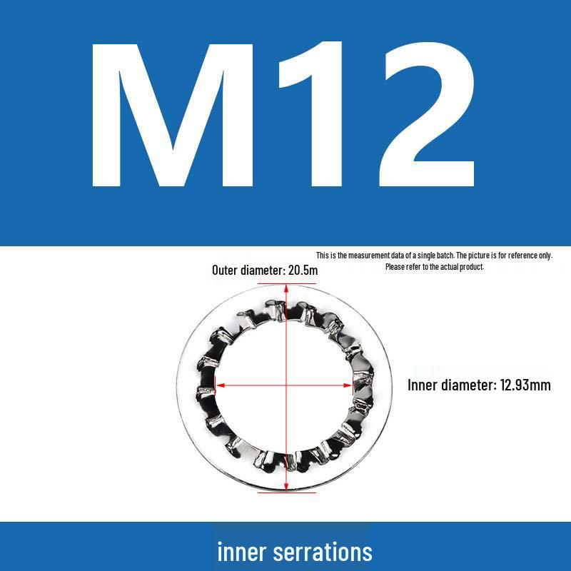 304 Stainless Steel Serrated Lock Washer with Anti-slip Teeth.