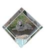 Newfoundland, Newfs, Newfies – Crystal Cube with a Photo, Photo of a Horse In Crystal |