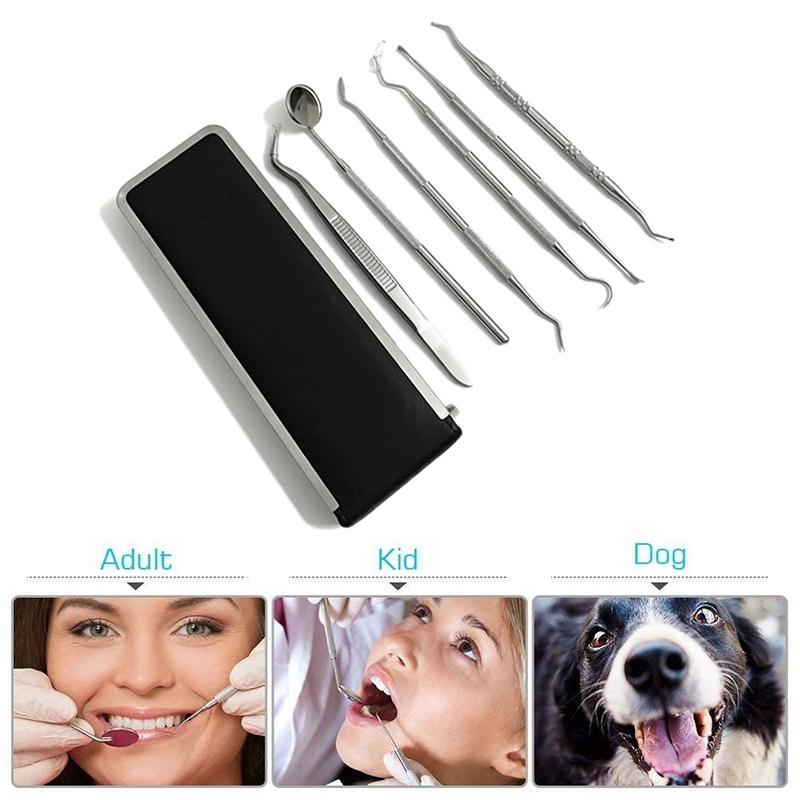 Buy High Quality 6 Pcs/Set Dental Tools Stainless Steel Hygiene