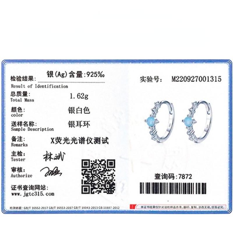 Tancise 925 Sterling Silver Zircon Earrings Drop Earrings For Women Wedding Party Gifts