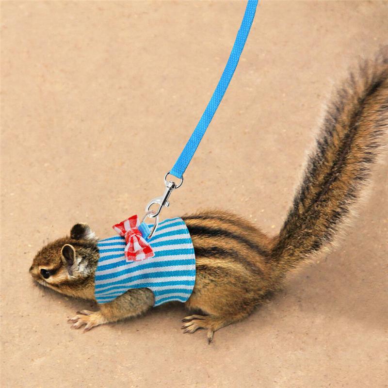 1PCS Small Animal Tank Top Strap Blue Pink Dog Cat Hamster Pet Clothes Small Animal Squirrel Traction Rope