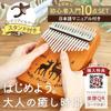 Petitbell Kalimba Music Score Complete Set with Case Doremi Stickers Stand Japanese Manual Tuned for Beginners