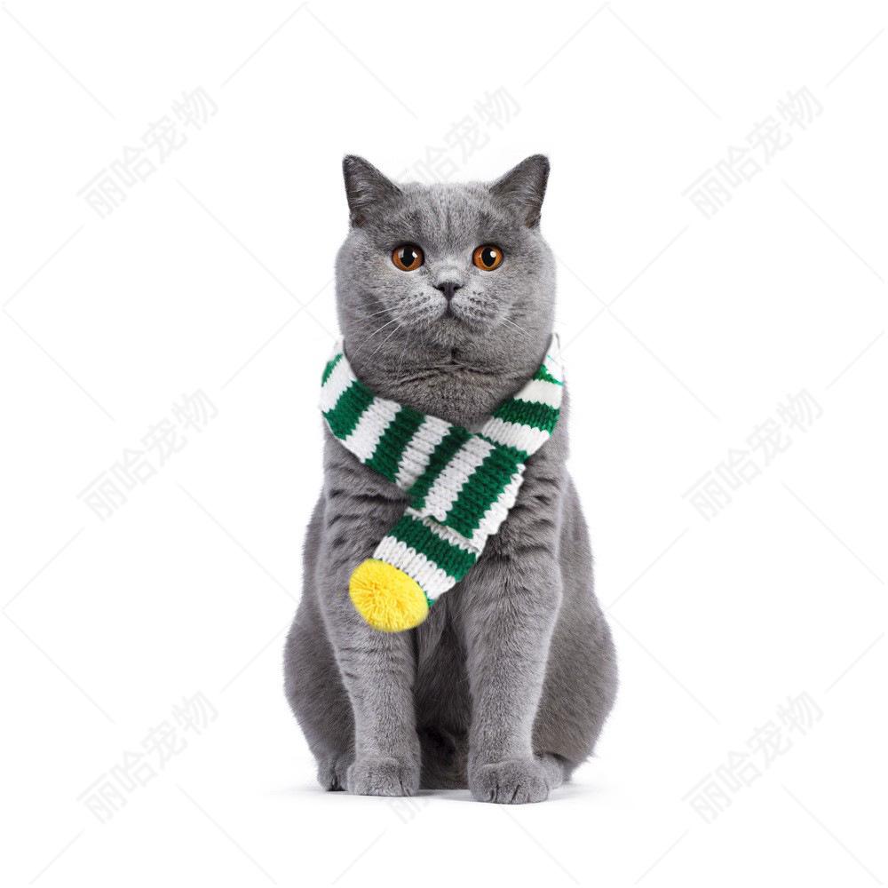 Sciarpa Natalizia Creativa Lavorata a Maglia per Gatti e Cani - Accessori Festivi per Animali Domestici per il Nuovo Anno