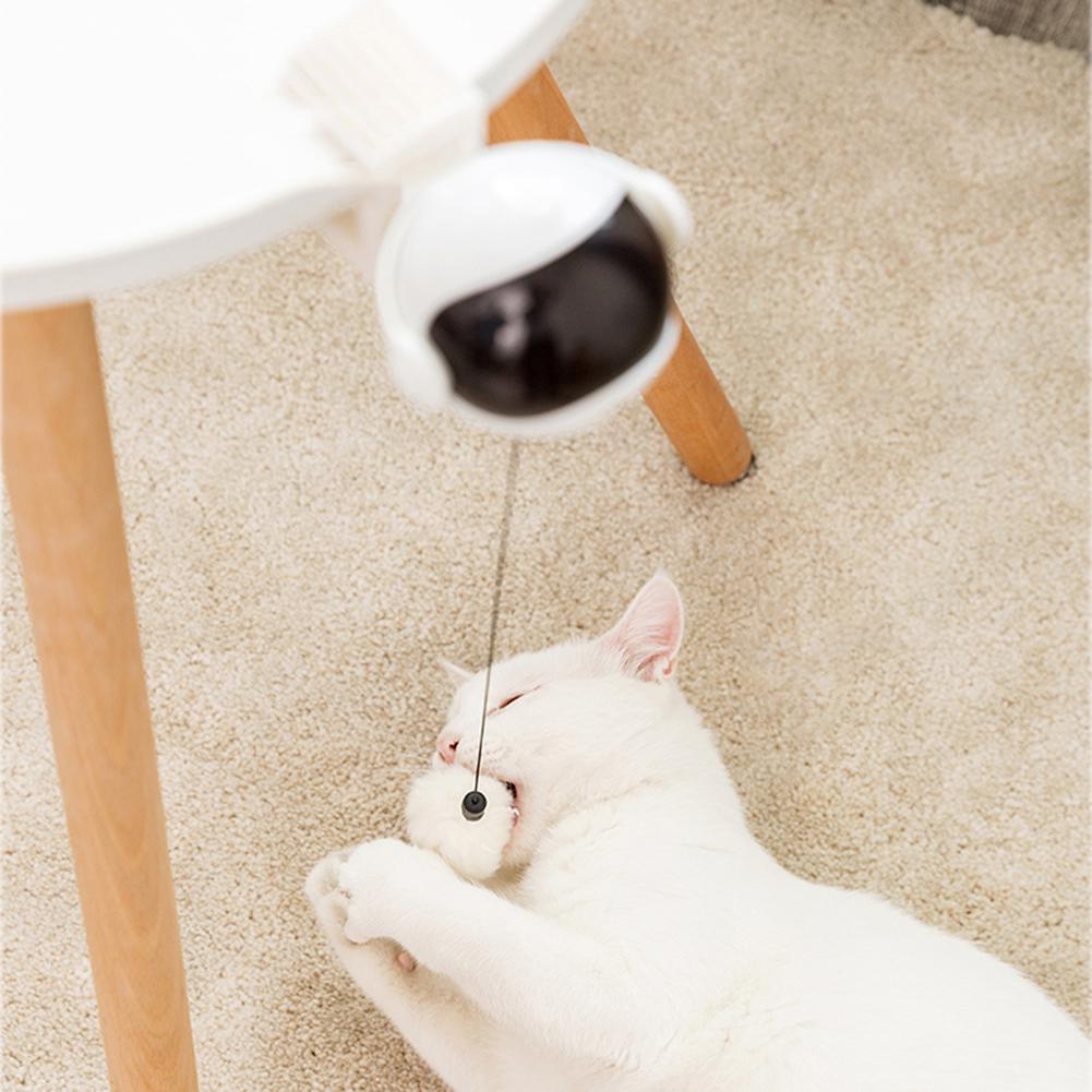 funny cat toy