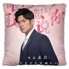 Pillowcase Same Paragraph Star Photo Poster Cushion Cover Star Surrounding Souvenir Home Decor Throw Pillow Cover