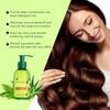 Cuidado del Cabello Aceite Esencial de Árbol de Té Nutre el Cabello y Repara las Puntas Secas y Bifurcadas. Aceite Esencial de Té Puro Desechable