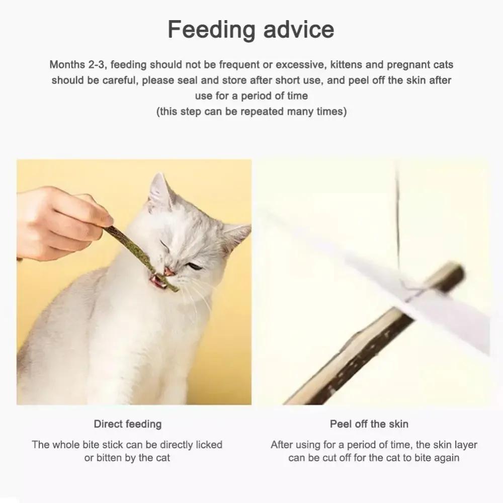 Natural Matatabi Cat Stick Mint Caught Bite Excited Rods Silvervine For Cat Teeth Cleaning Treating Pet Supply Cat Toys