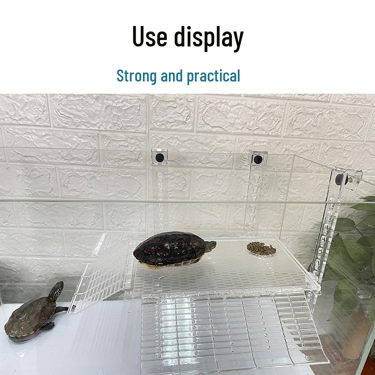 Acryl-Wandmontierte Schildkröten-Sonnen- und Kletterplattform für Aquarien