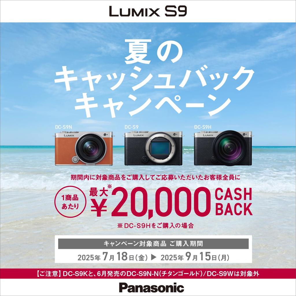 Panasonic Mirrorless Camera Lumix High Magnification Zoom Lens Kit Jet Black Full-Size S9H-K DC-S9H-K