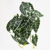 Mini Green Leaves Wall Hanging: Potted Pothos Monstera Planter for Decorative Flower Arrangements and Landscaping