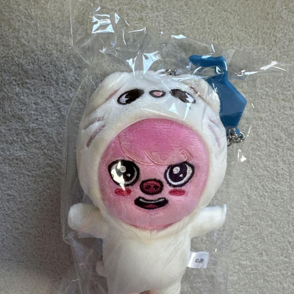 [USED] Straykids Goods