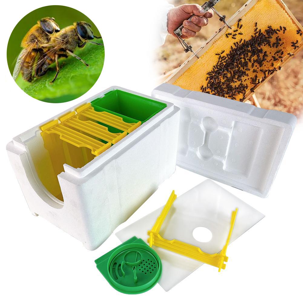 Mini Beehive Beekeeping Box Multi-Function Home Bee Boxes Bee Beekeeper Hive Hive Harvest Pollination Supplies Mating W0N5