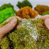 Hand Tearing Moss Vines,Shrubs,Sand Table Materials,Miniature Simulated Leaf Platforms,Lawn,Shrubs,Suitable for Model Enthusiast