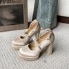 French high heels square head one-word buckle fashion shoes thick heel spring and autumn new single shoes 11cm 2025 waterproof tai xian