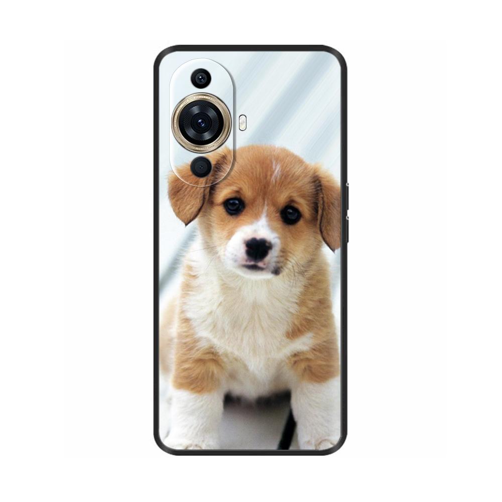 For Hauwei NOVA 11 Pro Case Cat Lion Painted Phone Case For Huawei Nova 11 Ultra Nova11 Pro 11Pro 11i Silicone Back Cover Fundas