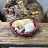 Dog Plush Sleep Toy Model Ornament Make Sound Lifelike Simulation Doll Gift
