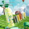 Deli Kids 500ml 316 Stainless Steel Insulated Water Bottle