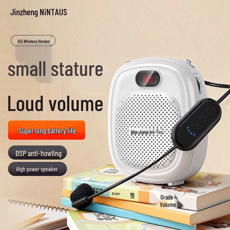 NINTAUS Portable Voice Amplifier with Bluetooth Microphone CN Plug (adapter Included)