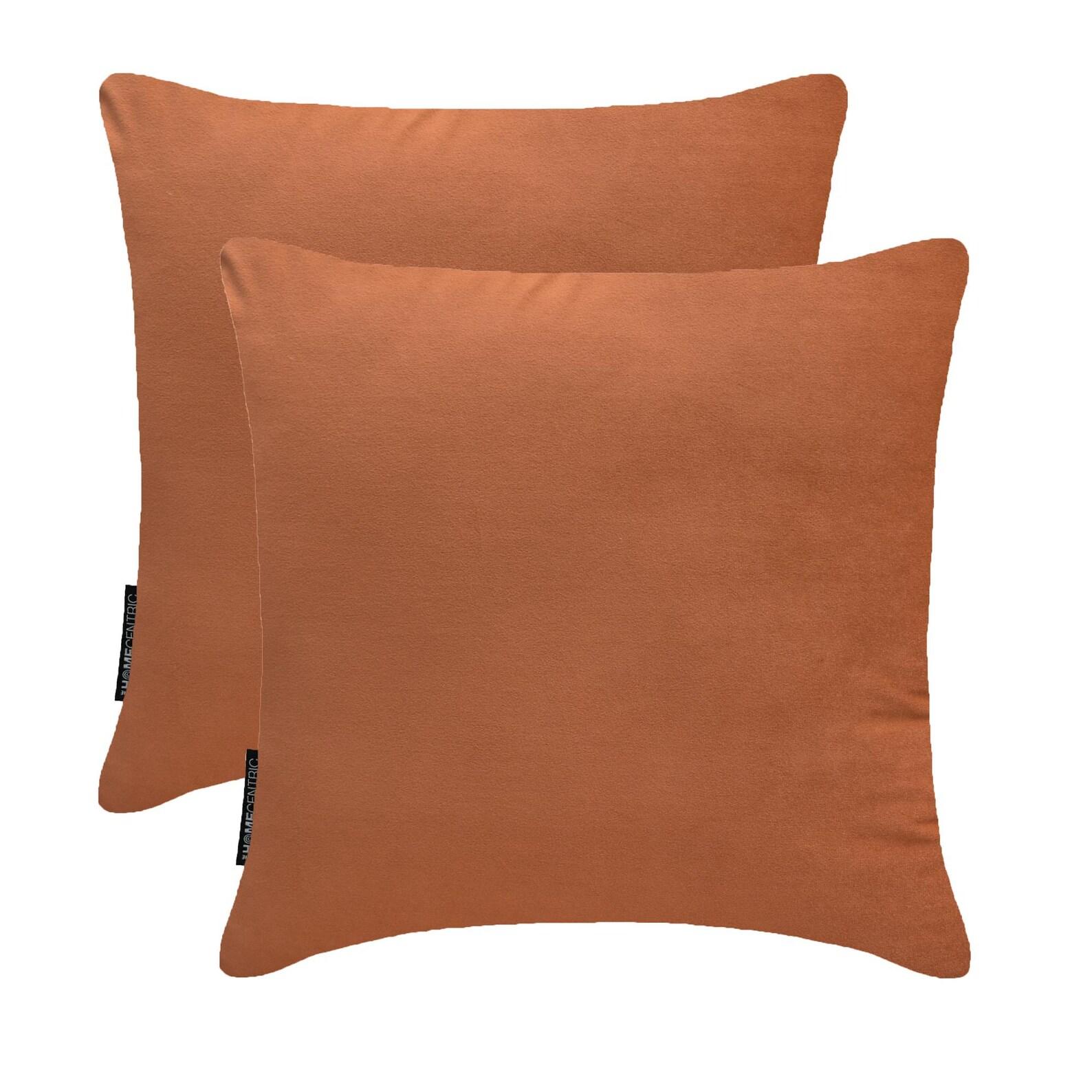 

Tan Brown Luxury Throw Pillow Covers | Pack of 2 Modern Plain Velvet Cushion Cover | Solid Color Pillowcases - Tan Velvet 12 x 12 (Pack of 2)
