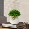 Artificial Plants in Hemisphere Pot Mini Potted Green Plants for Home Desk Decoration Indoor Outdoor Decor B2U3