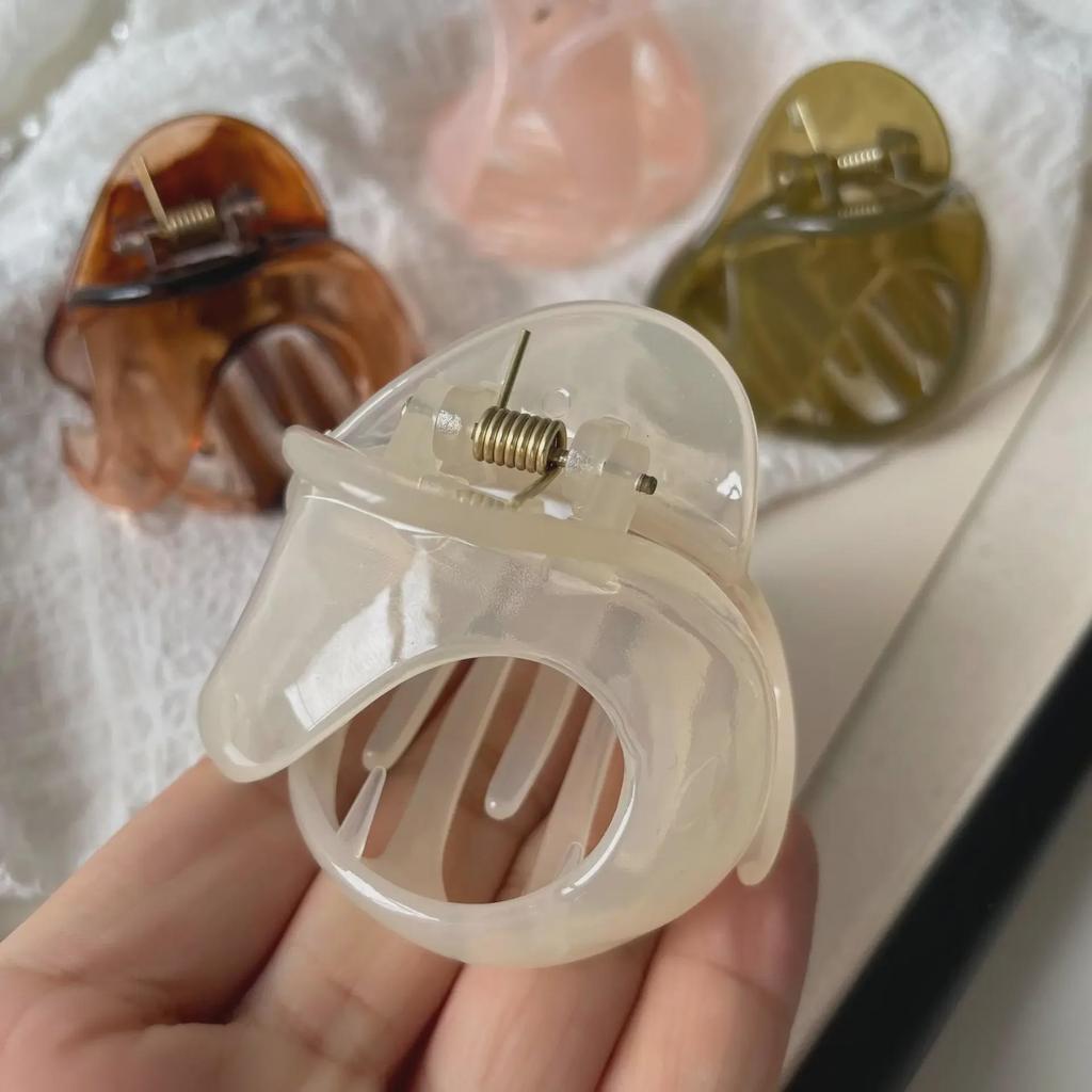 2024 Neue Einfache Temperament Gelee Farbe Geformte Haarspange für Frauen – Perfekt für Hohe Pferdeschwänze