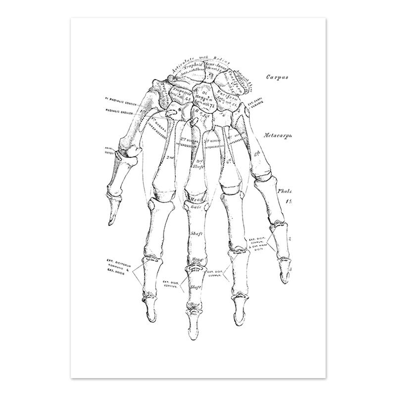 

Хэллоуин Декор Плакаты и Принты Скелет Галерея Настенное Искусство Человеческие Органы Холст Живопись Черно-белая Комната Декорация Картина 21x30cm No Framed