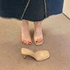 French Niche Design Sense Transparent Sandals 2025 New Summer Fashion Outer Wear Thick Heel Versatile Word with Slippers