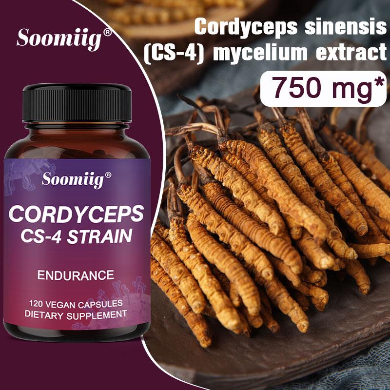 Herbal Extracts 750 Mg Supplements 120 Vegan Capsules Per Bottle