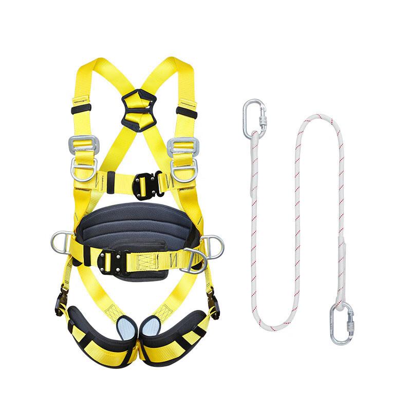 Ruifleike Full Body Safety Harness Kit with 2m Lanyard