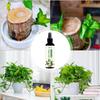 100ml Hydroponic Brazilian Wood Nutrient Solution Easy To Absorb Wood Liquid Fertilizers For Growing Flower Grow Nutrient