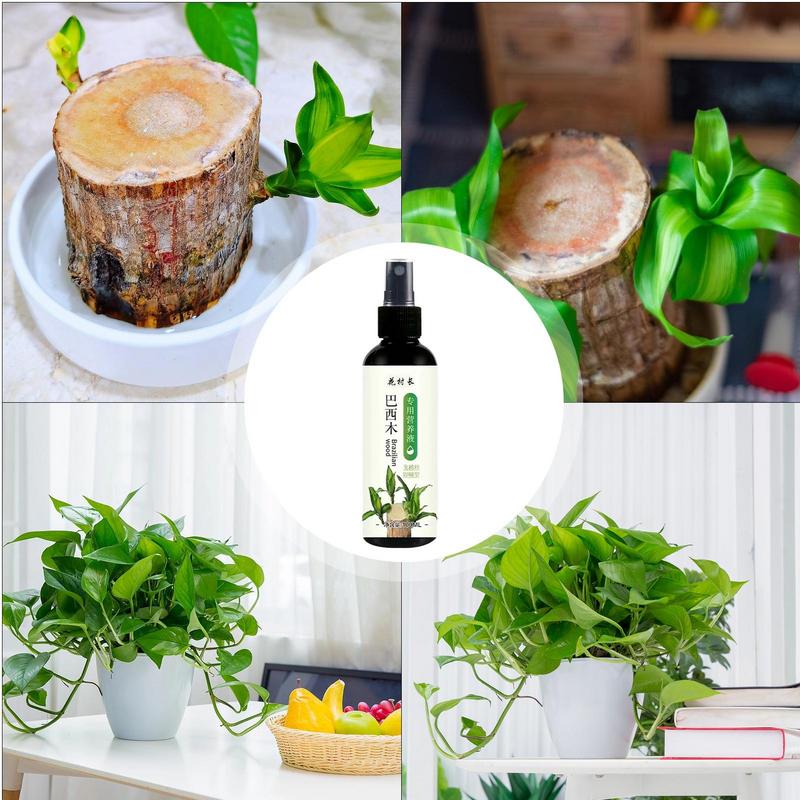 100ml Hydroponic Brazilian Wood Nutrient Solution Easy To Absorb Wood Liquid Fertilizers For Growing Flower Grow Nutrient