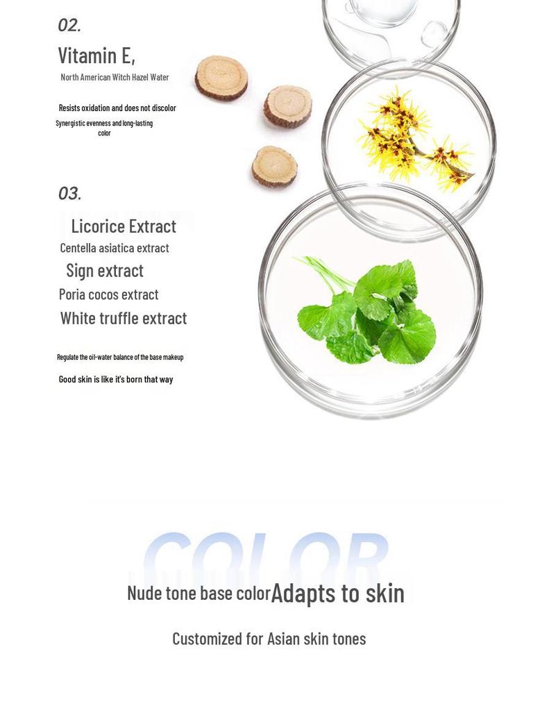 NOVO Soft Mist Long-Lasting Foundation & Concealer - Oil Control, Waterproof, Sweatproof, No Caking or Smudging, for Dry & Oily Skin.