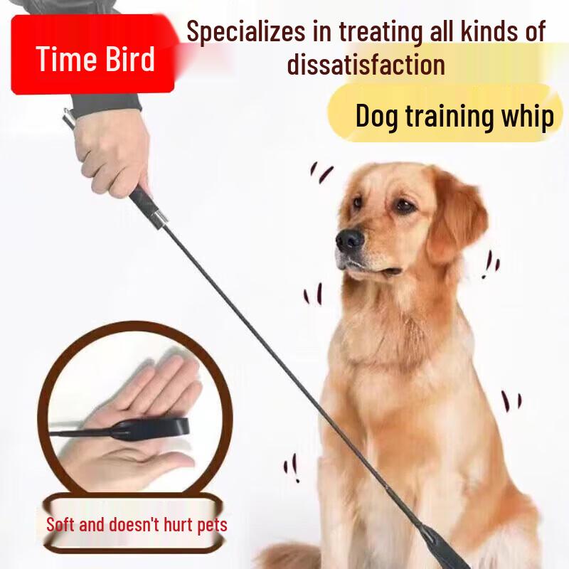 Professional Dog Training Equipment & Supplies