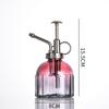 Creative Glass Pumpkin Water Sprayer