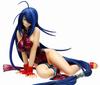 Ikki Tousen: Kanu Uncho ~DVD Box Edition Chinese Dress Ver. (1/7 Scale PVC Pre-painted Figure)